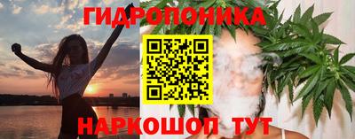винт Кингисепп