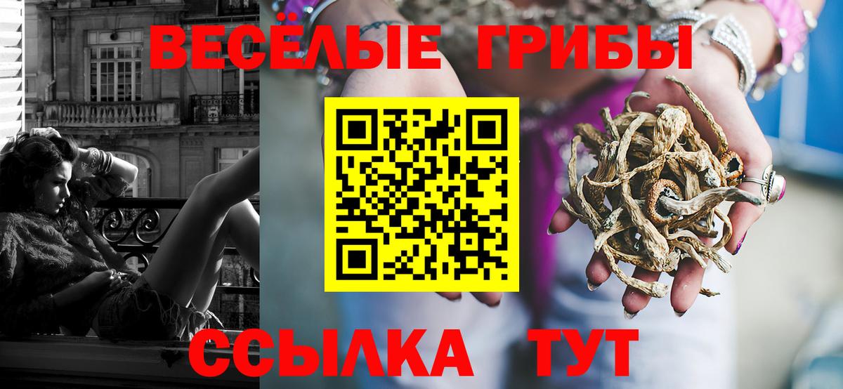 Псилоцибиновые грибы GOLDEN TEACHER  Псилоцибиновые грибы Psilocybine cubensis  Вход с VPN  Куйбышев 
